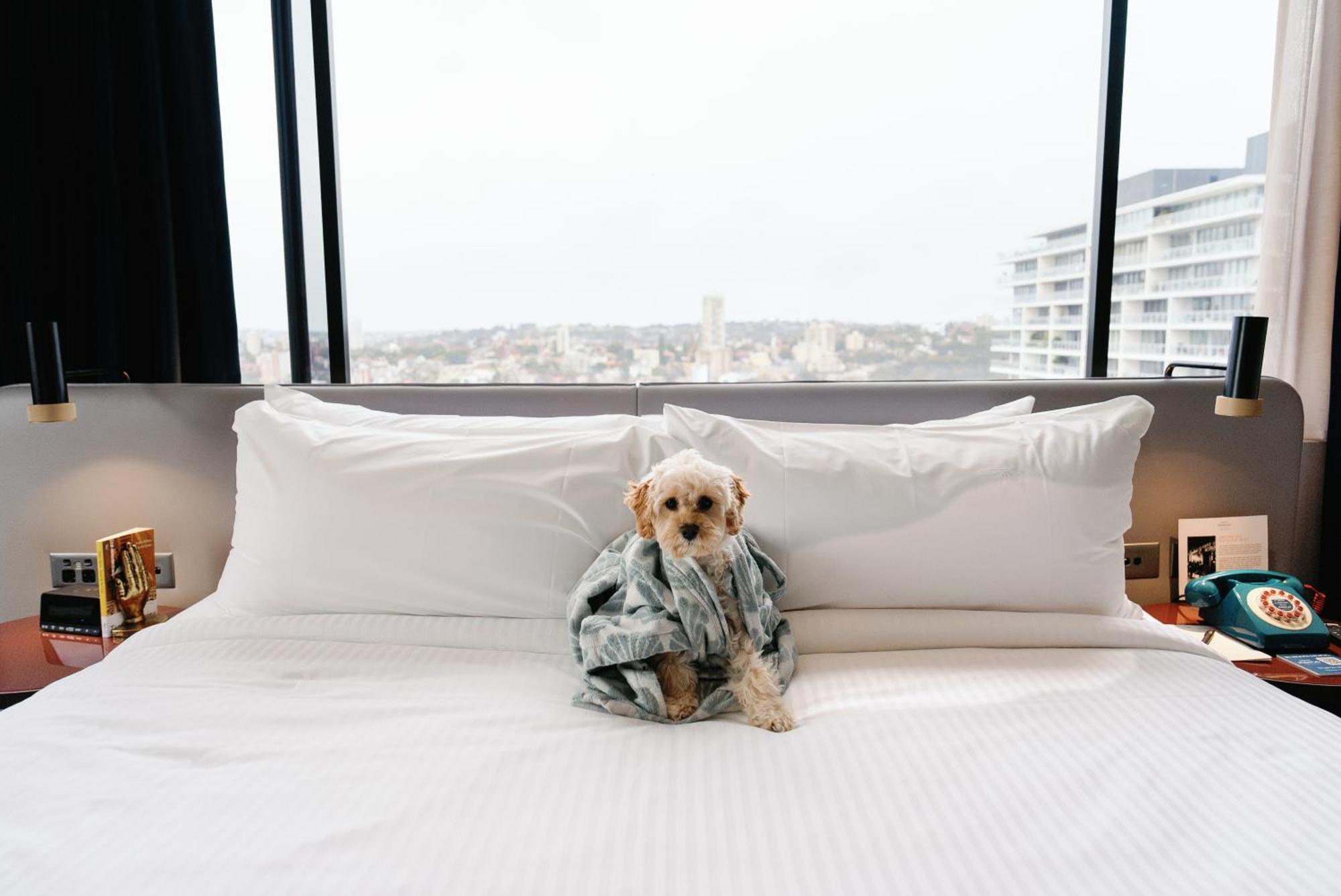 Hotel Indigo Sydney Potts Point By Ihg Eksteriør billede